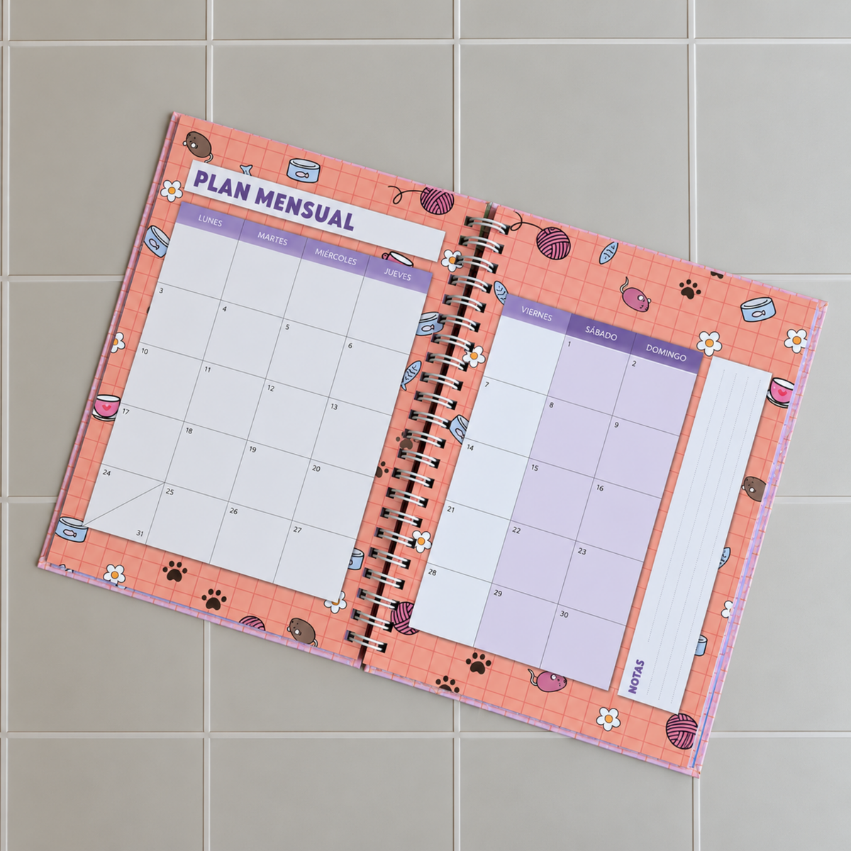 Agenda Tazas 2027